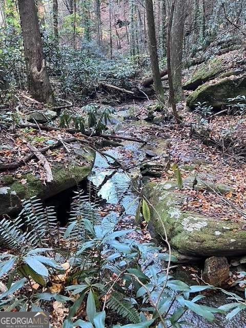Pristine forested land with Million Dollar Long Range Views from multiple locations. Beautiful waterfalls. Spring fed creek. Surrounded on 3 sides by US Forestry Land providing 134 acres of Pure Privacy! Yet only 5 to 10 minutes from downtown Ellijay and all it's restaurants and shops. Easy access to 575/515 or I-75. Easy drive to Carters Lake and Chatsworth, as well. Two to 3 minutes from Fort Mountain State Park for fishing and hiking and swimming. A 'Must see" property. Build your dream home, maybe start a vineyard.