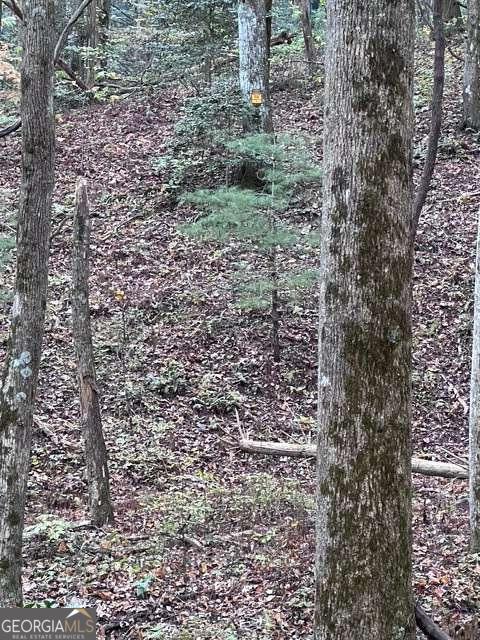 0 GA Hwy 52