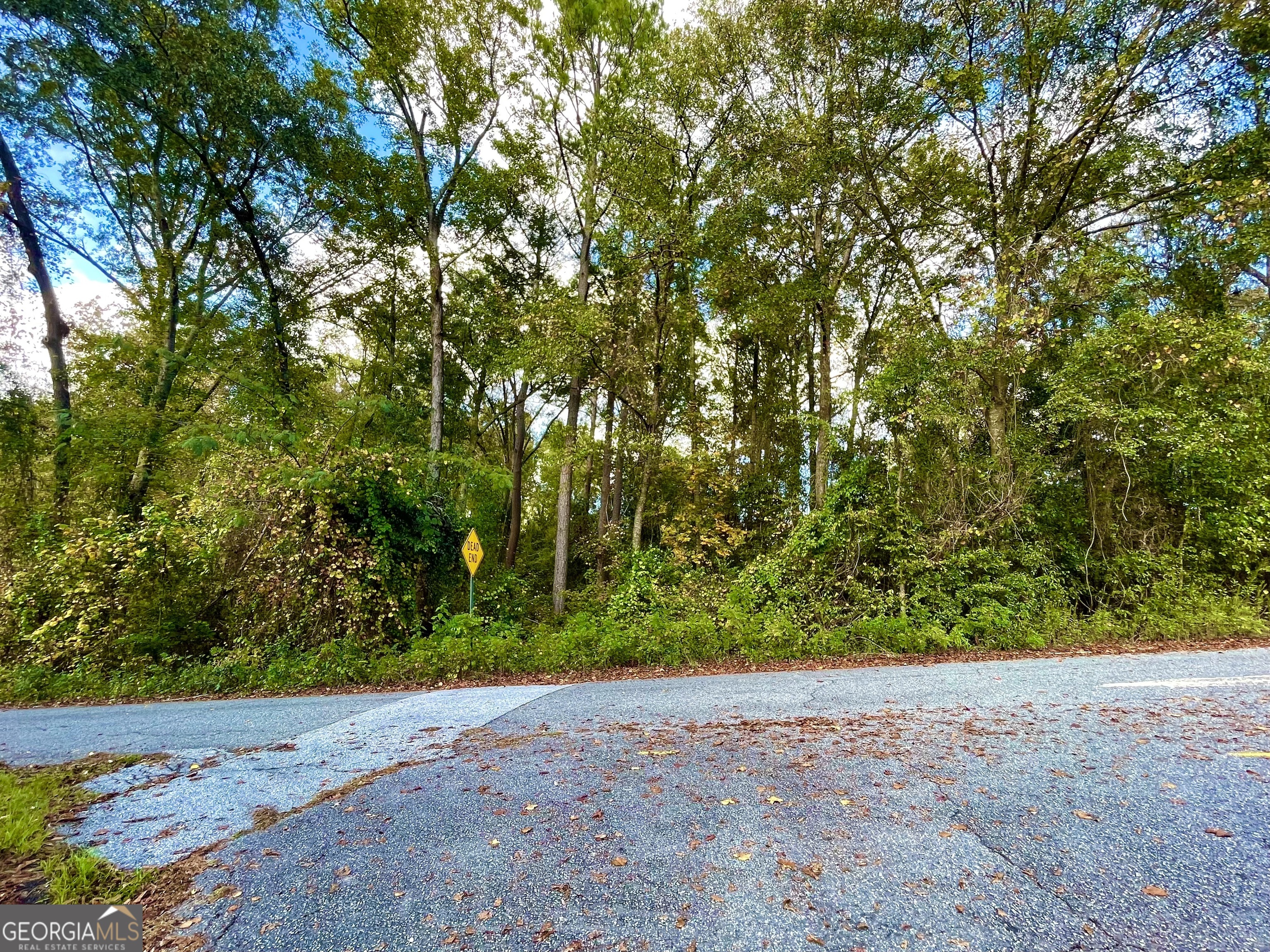 Location, Location, Location! Right of the I-75 in the wonderful Hooper Hill subdivision. .83 acre lot, in an established and quaint neighborhood. Not far from the love's truck stop, freeway is easily accessible. Great spot to build your home! Buy the land, while you work on the plan! School district for this area is Heard and Rutland. Zoned Residential. Level lot, ready for the building plans. Come claim this lot today!!