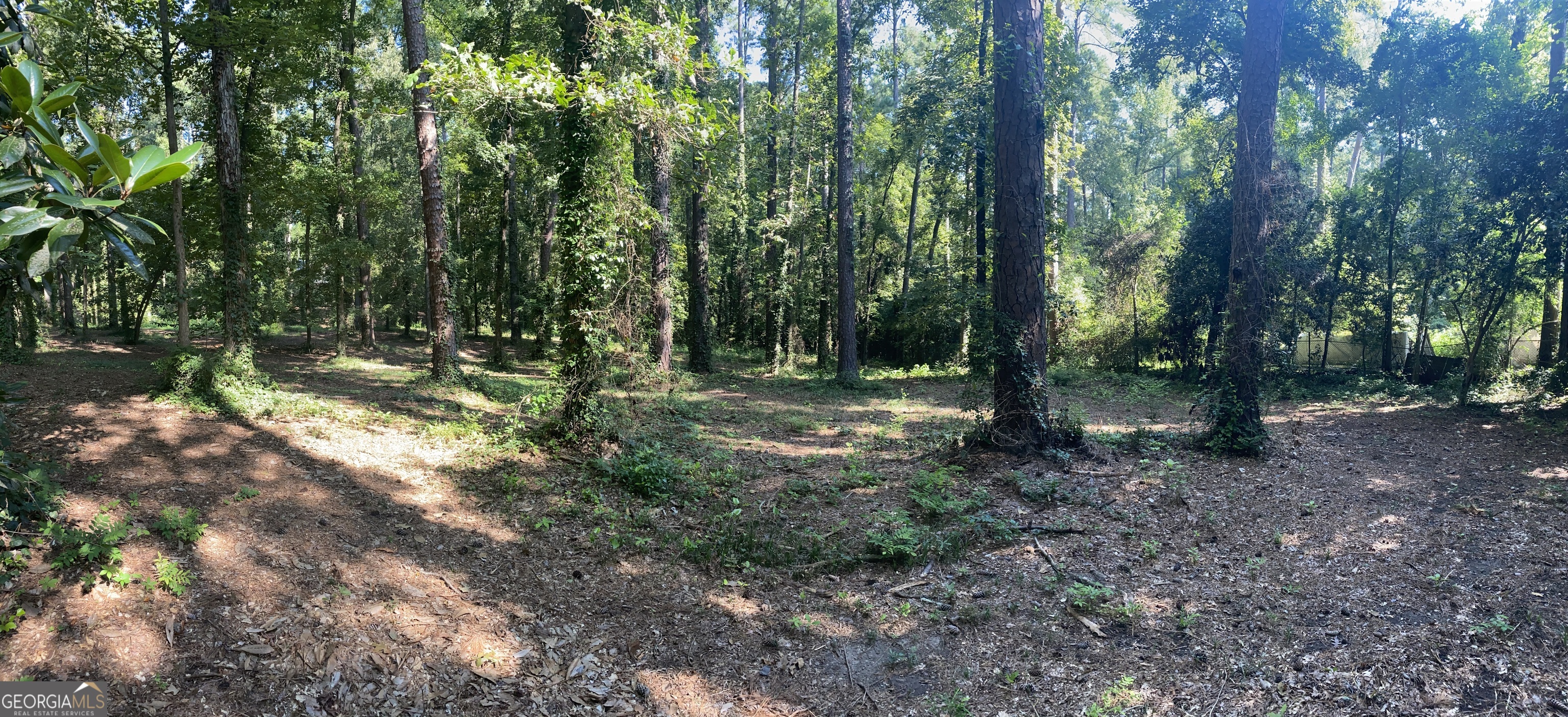 12 Summerville LN