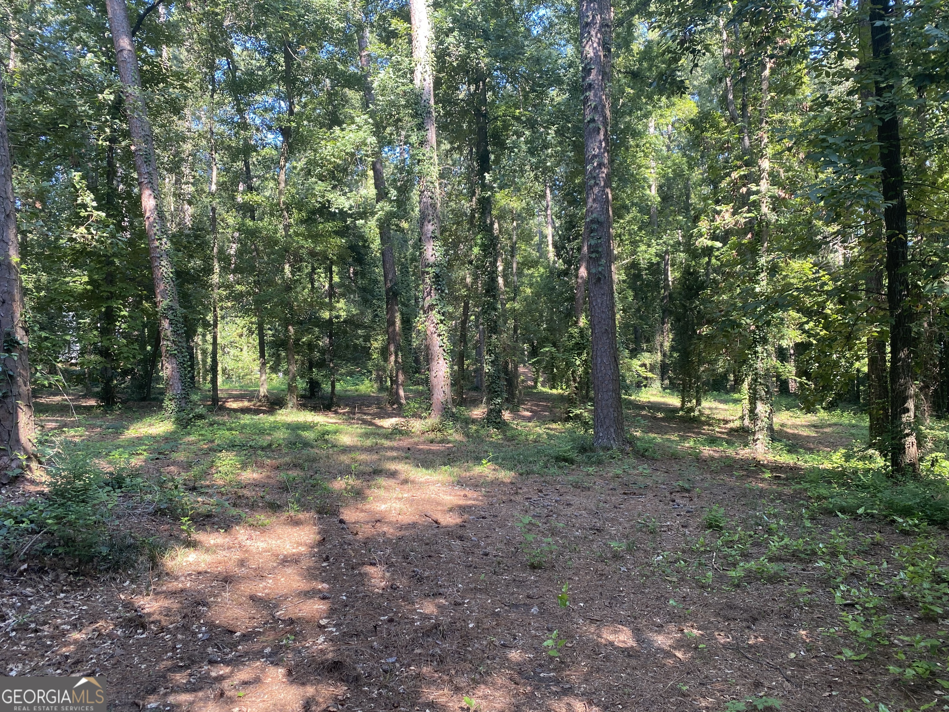 12 Summerville LN