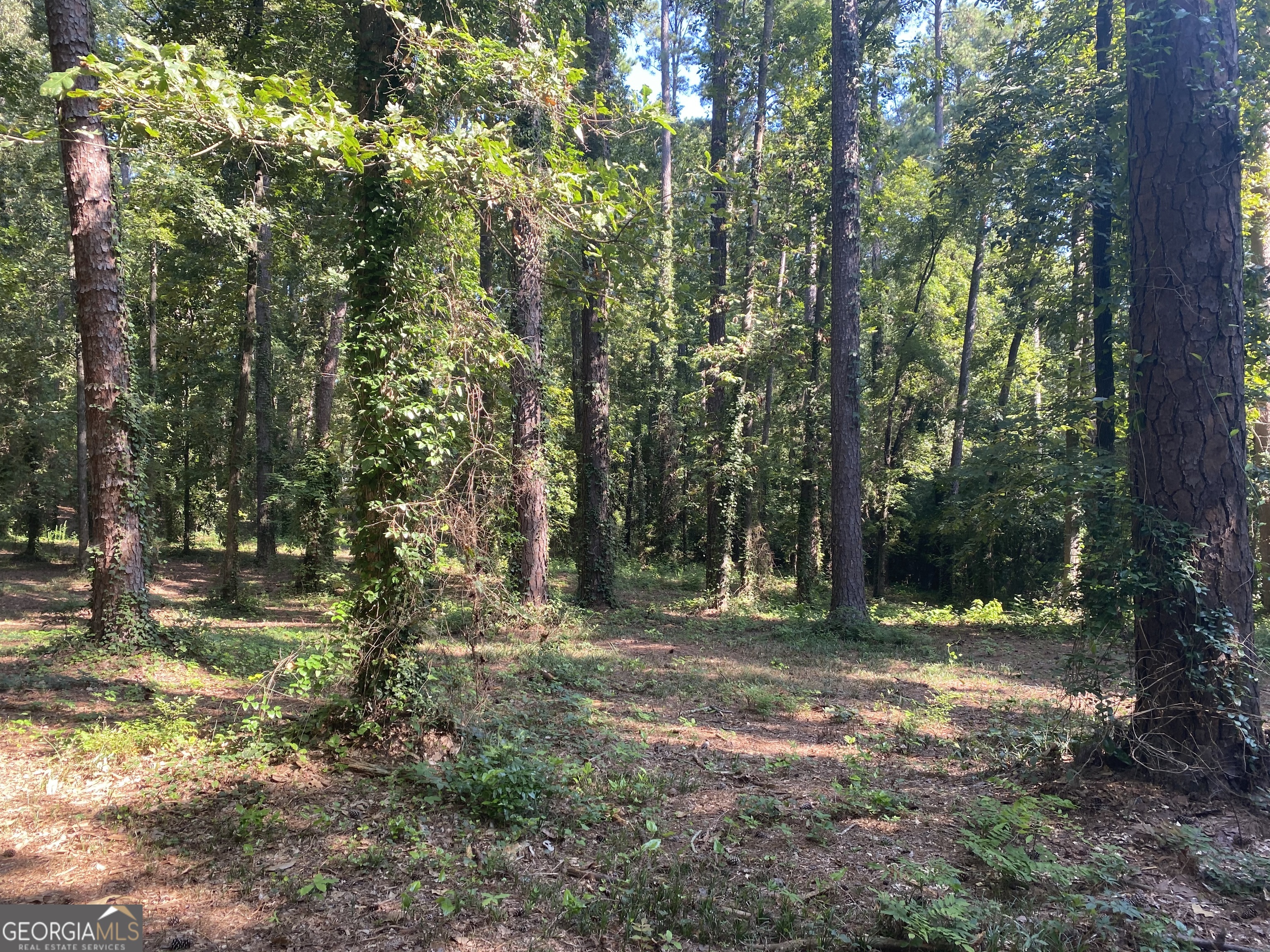 12 Summerville LN