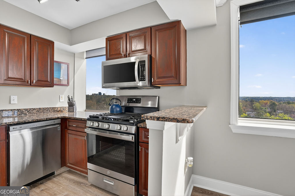 2479 Peachtree RD NE 1517