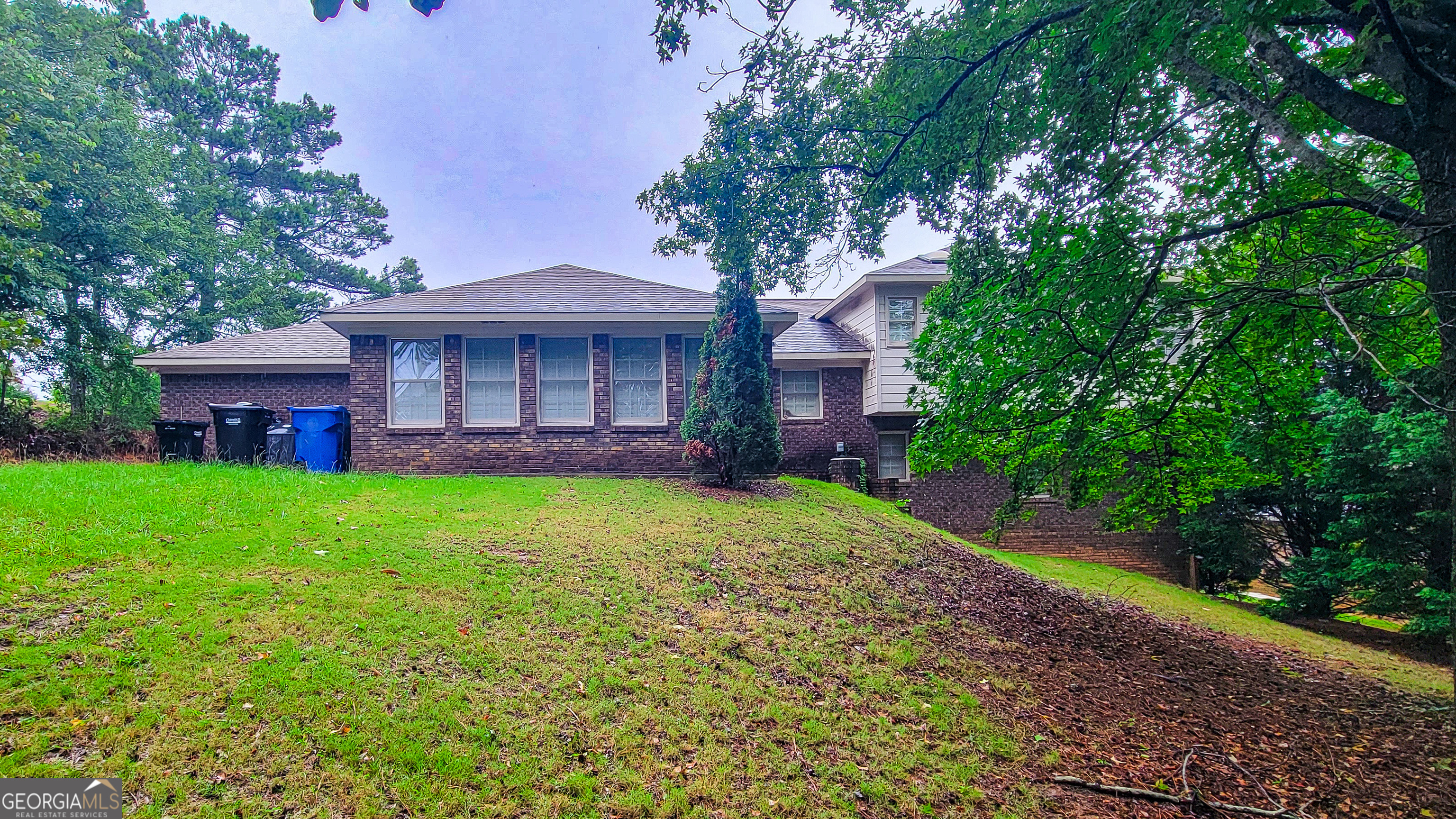 811 Pheasant LOOP