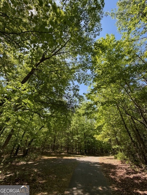 480 Rock House RD