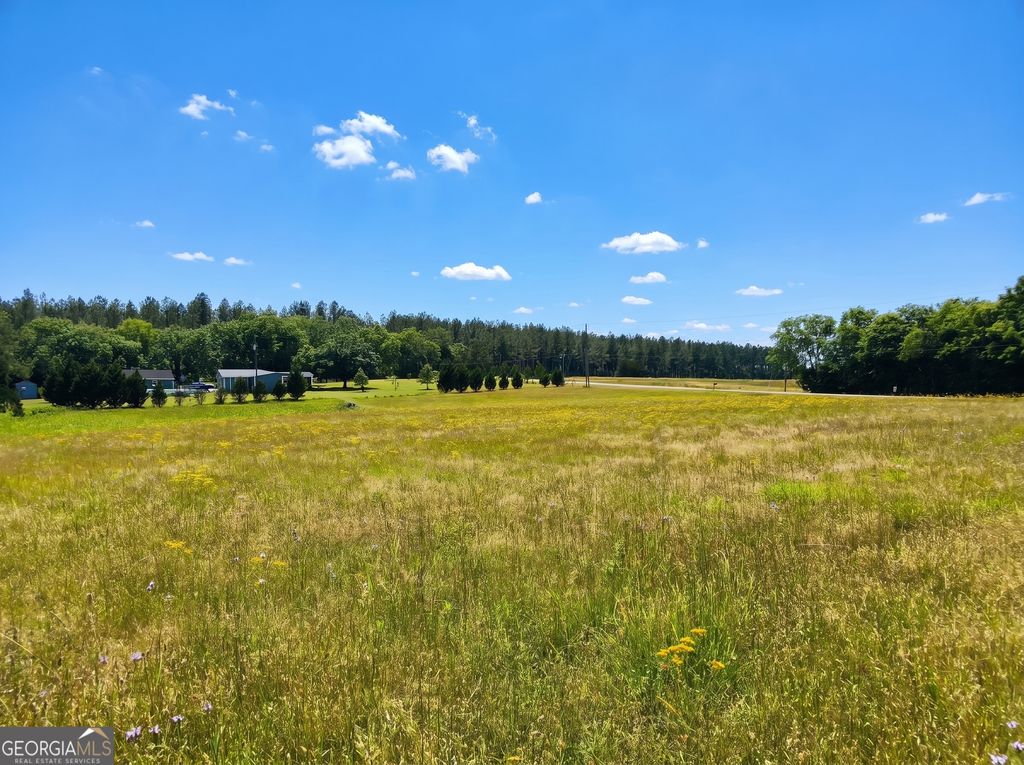 Photo of 1352 Drake Road, Elberton, GA 30635 (MLS # 10763031)
