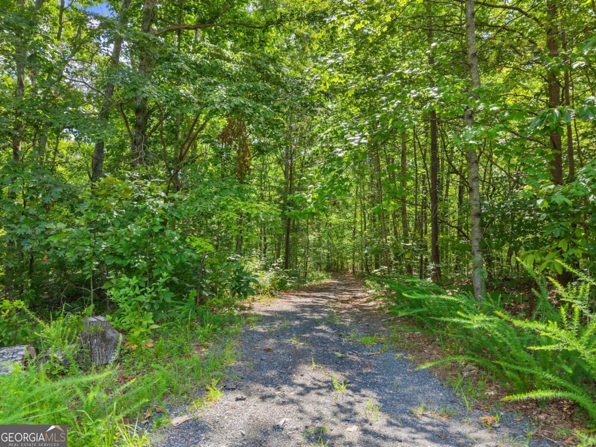 0 Mountain Brook RD