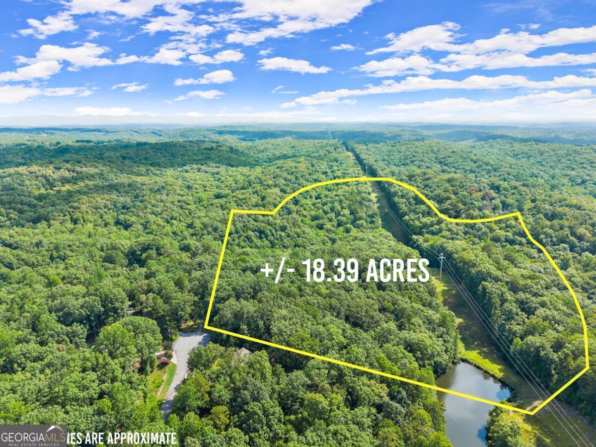 This breathtaking property features a fully stocked private lake with a dock, a flowing creek, natural rock formations, and scenic mountain views. Whether you're dreaming of the ultimate escape, a perfect forever home, or an investment opportunity, this property delivers to all. Ideal for builders, nature lovers, or anyone seeking a staycation paradise.