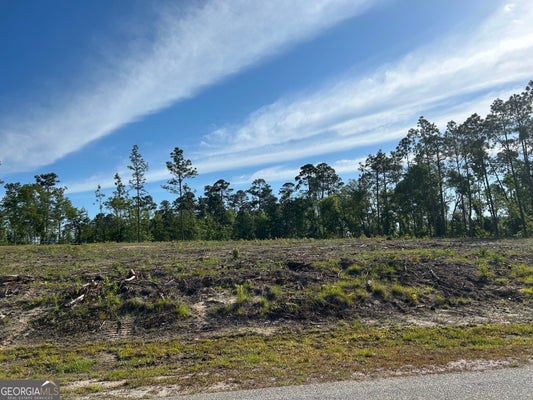 170 GILLIS DR, LYONS, GA 30436 - Image 2cd84b5df095b91cec8e493d68816523/2816970921