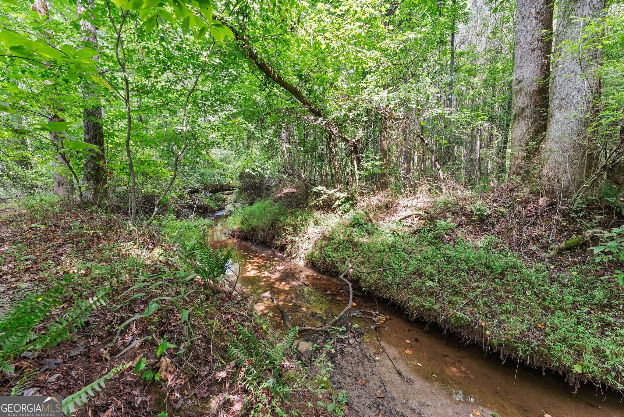 8817 Shallow Creek TRL 30