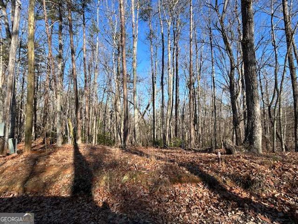 Photo of 440 Ridge Road, Dawsonville, GA 30534 (MLS # 10700480)