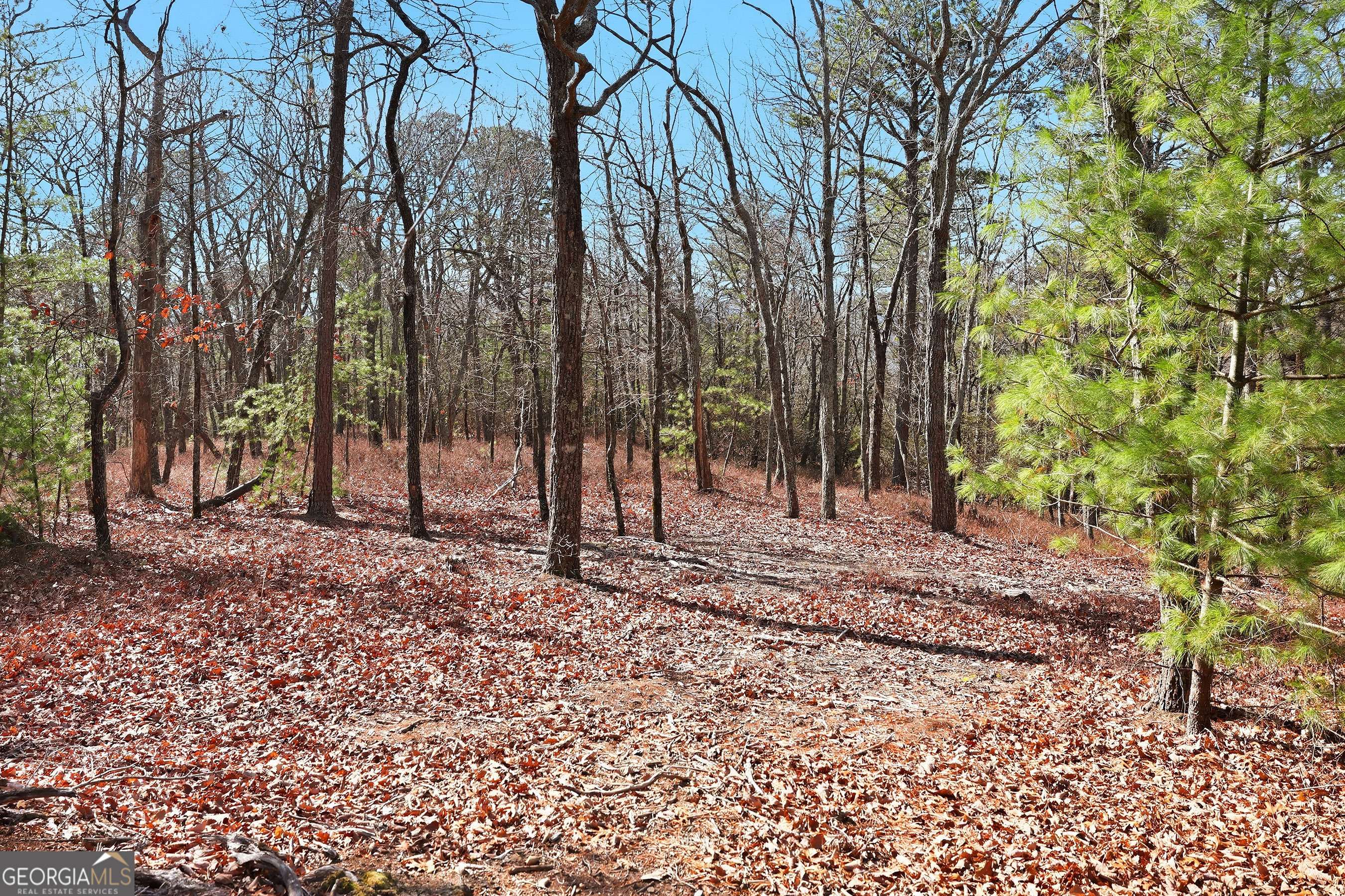 LOT 59 Mountain Sweet DR