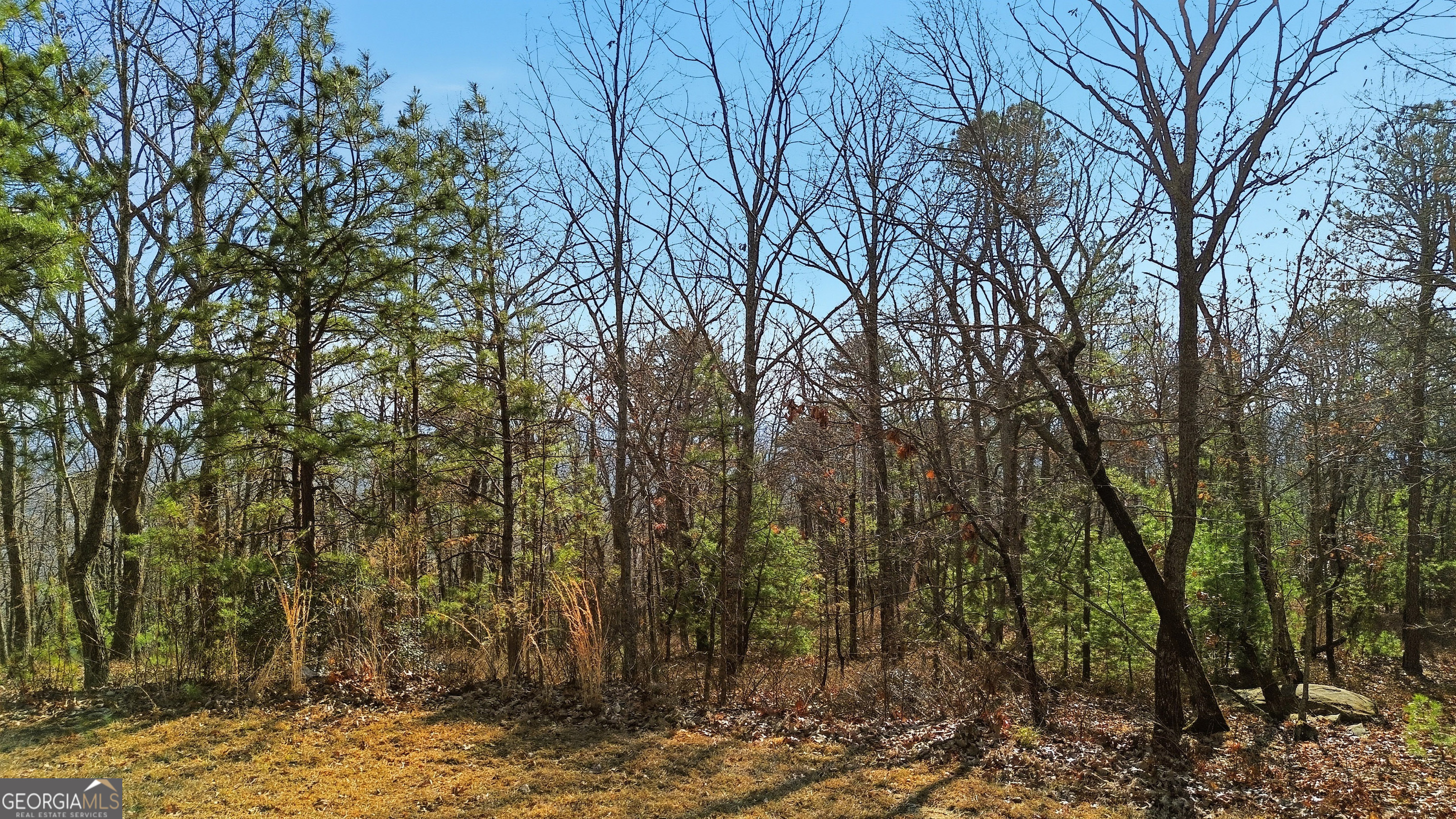 LOT 59 Mountain Sweet DR