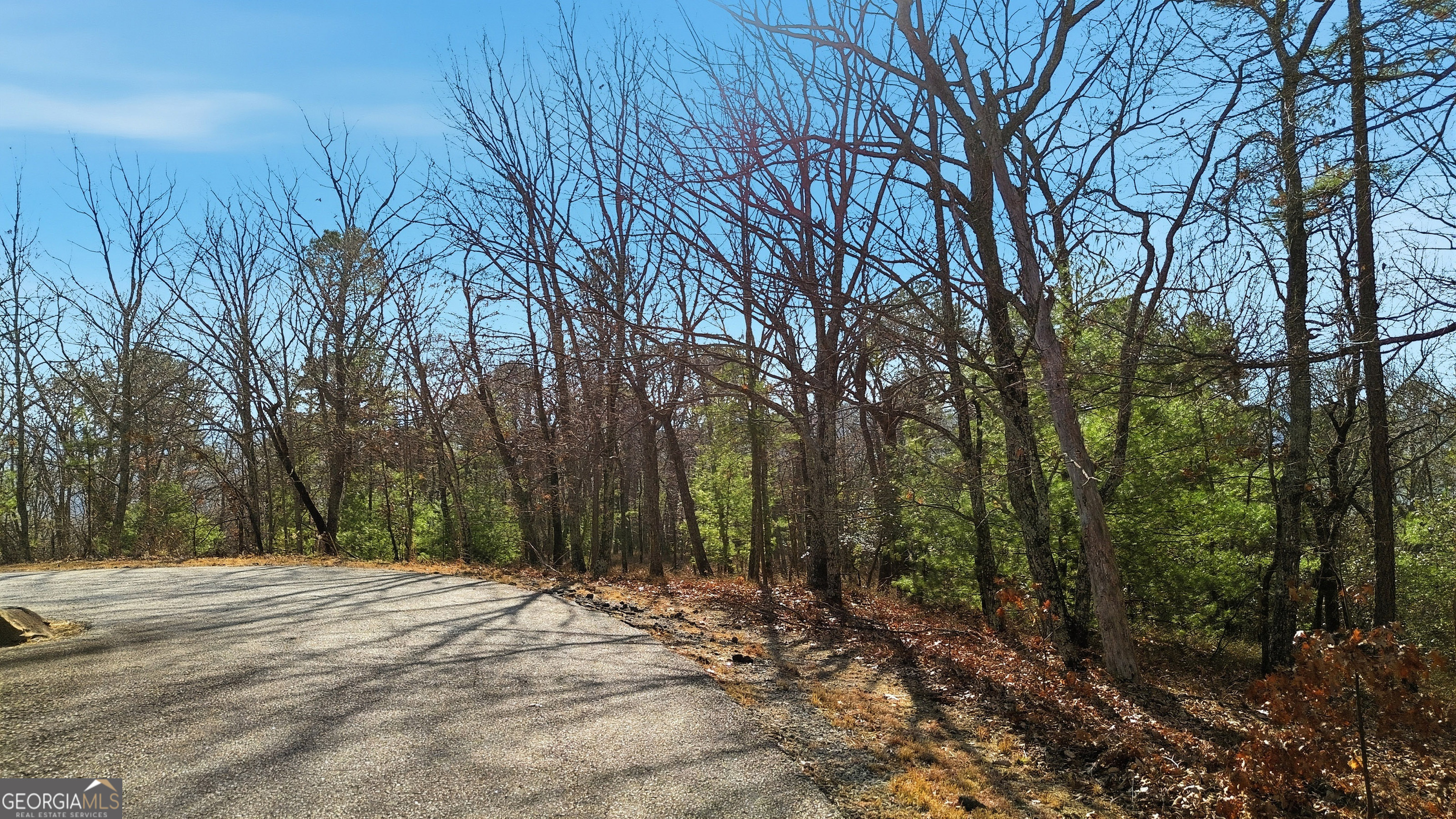 LOT 59 Mountain Sweet DR