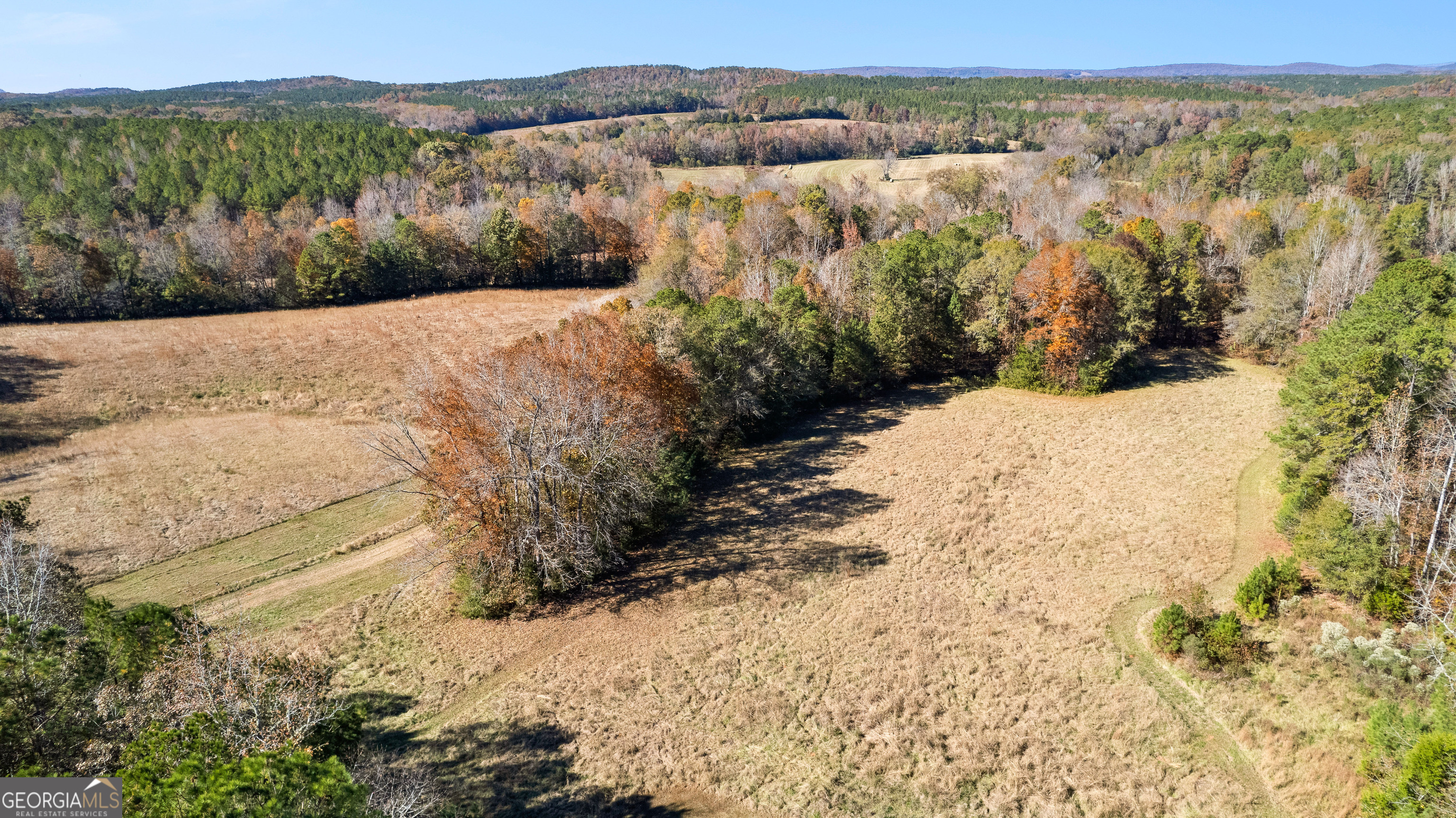 Woodland, Georgia 31836, United States, 3 Bedrooms Bedrooms, ,2 BathroomsBathrooms,Residential,Pending,250889