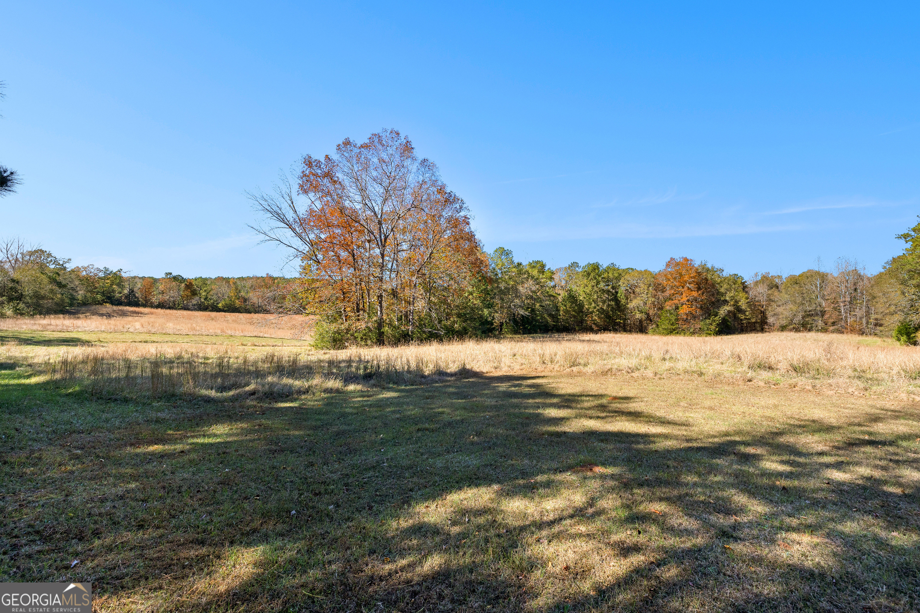 Woodland, Georgia 31836, United States, 3 Bedrooms Bedrooms, ,2 BathroomsBathrooms,Residential,Pending,250889
