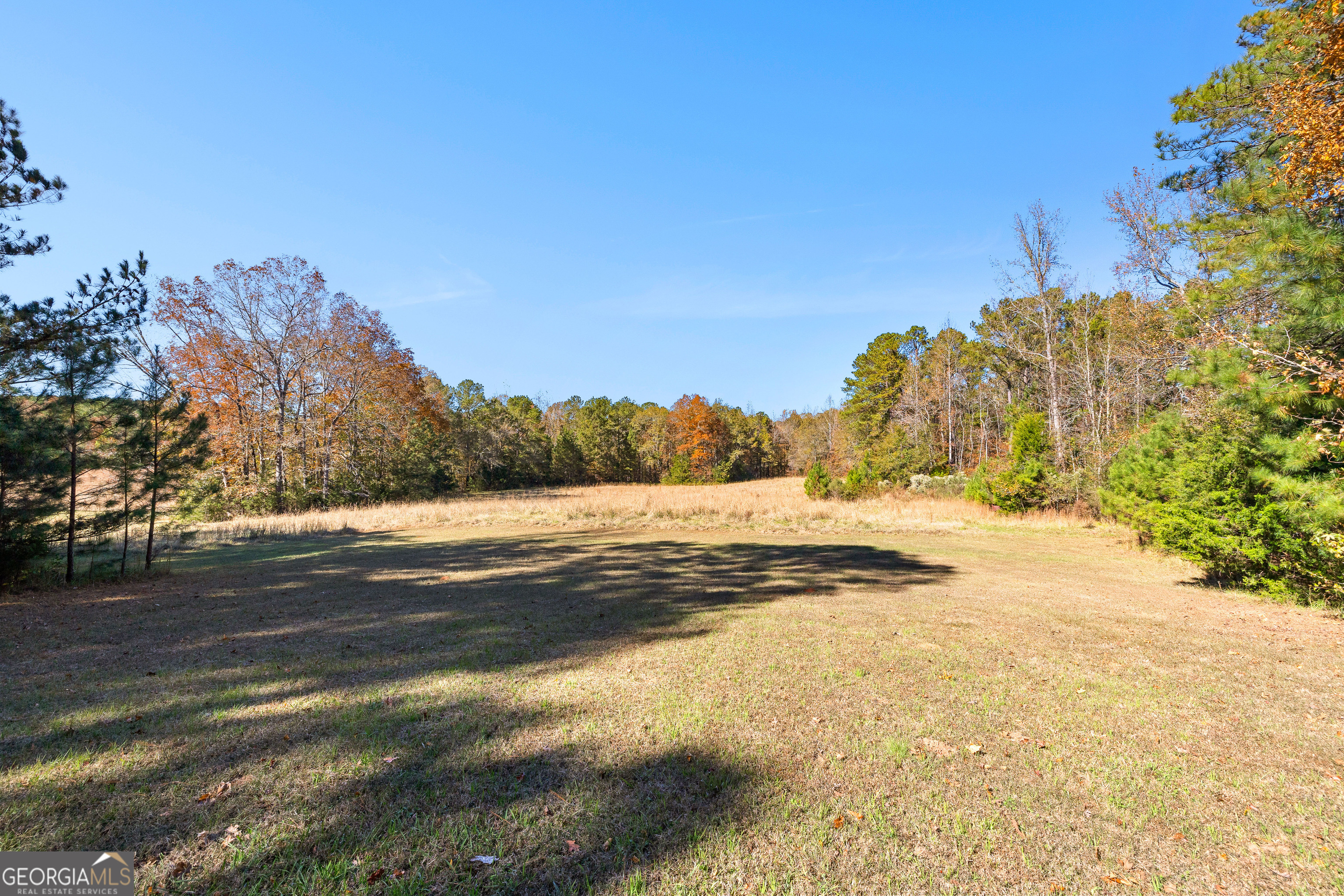 Woodland, Georgia 31836, United States, 3 Bedrooms Bedrooms, ,2 BathroomsBathrooms,Residential,Pending,250889