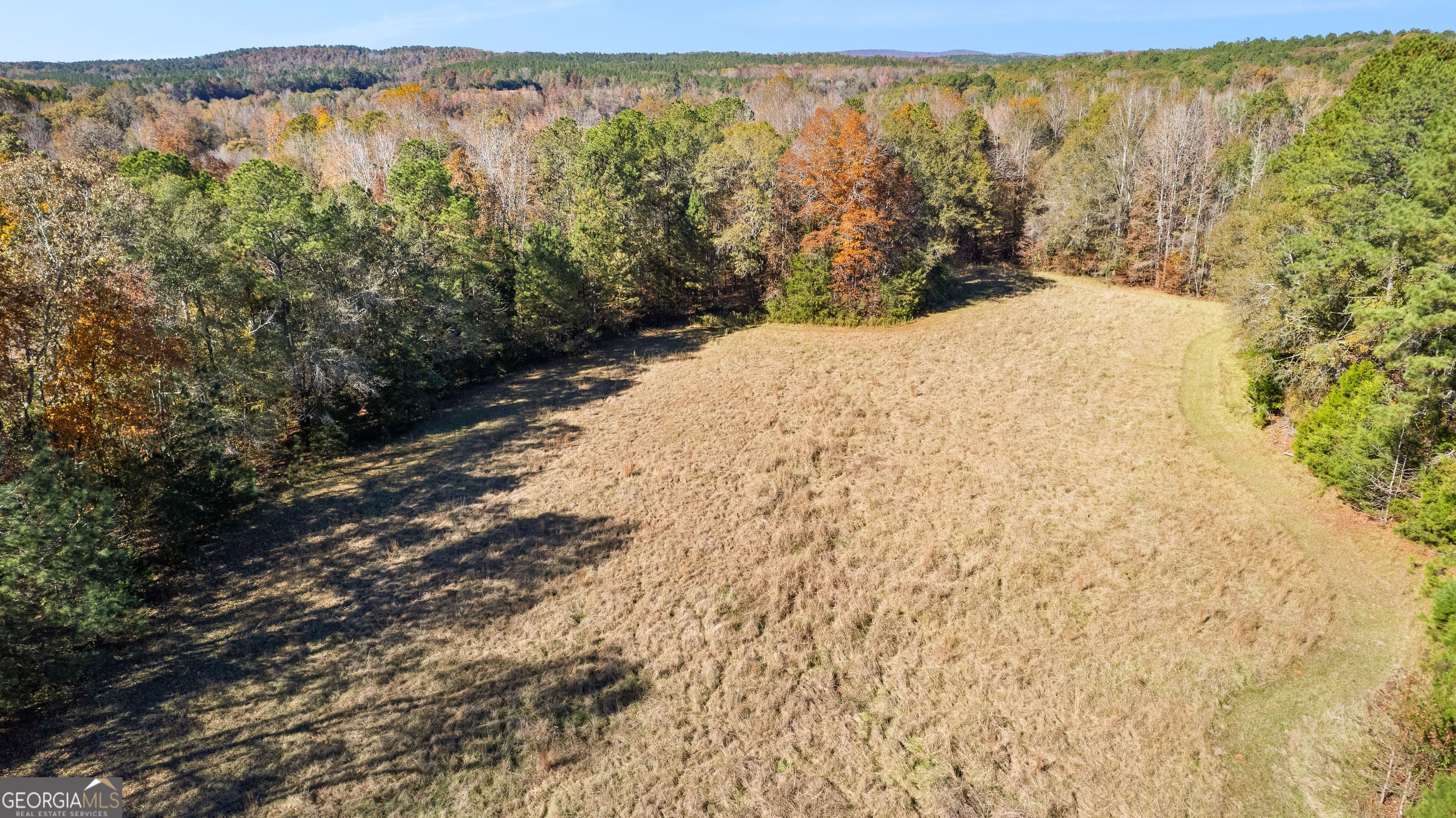 Woodland, Georgia 31836, United States, 3 Bedrooms Bedrooms, ,2 BathroomsBathrooms,Residential,Pending,250889