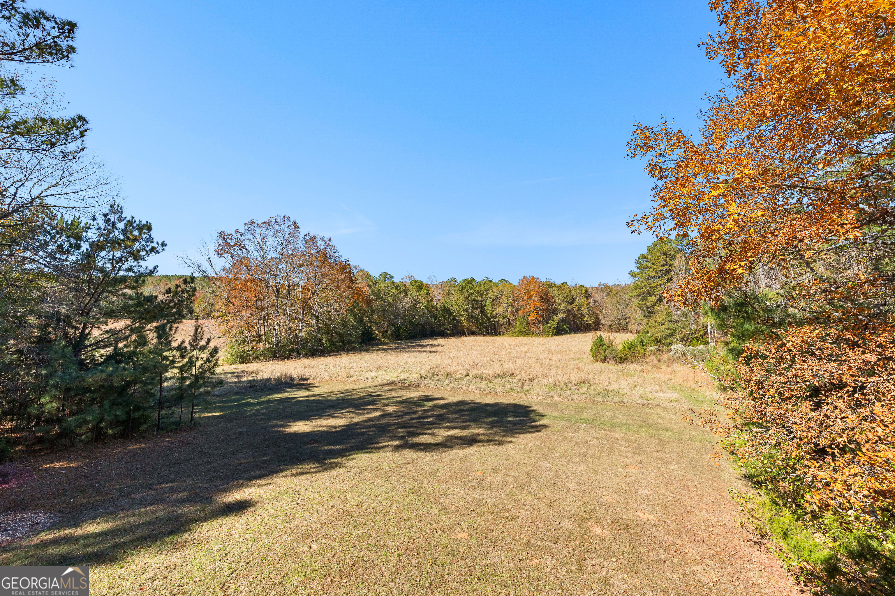 Woodland, Georgia 31836, United States, 3 Bedrooms Bedrooms, ,2 BathroomsBathrooms,Residential,Pending,250889