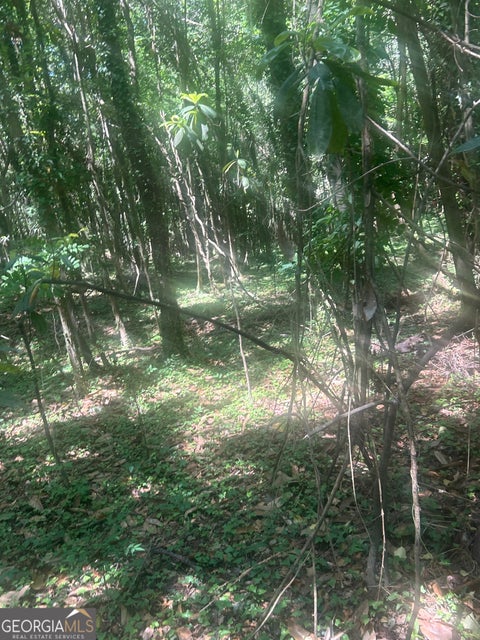 Photo of 0 Magnoila Drive, Mcintyre, GA 31054 (MLS # 10762752)