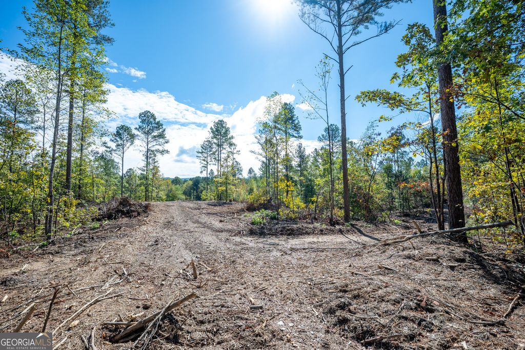 Photo of 3801 HWY 140 NE, Rydal, GA 30171 (MLS # 10632060)