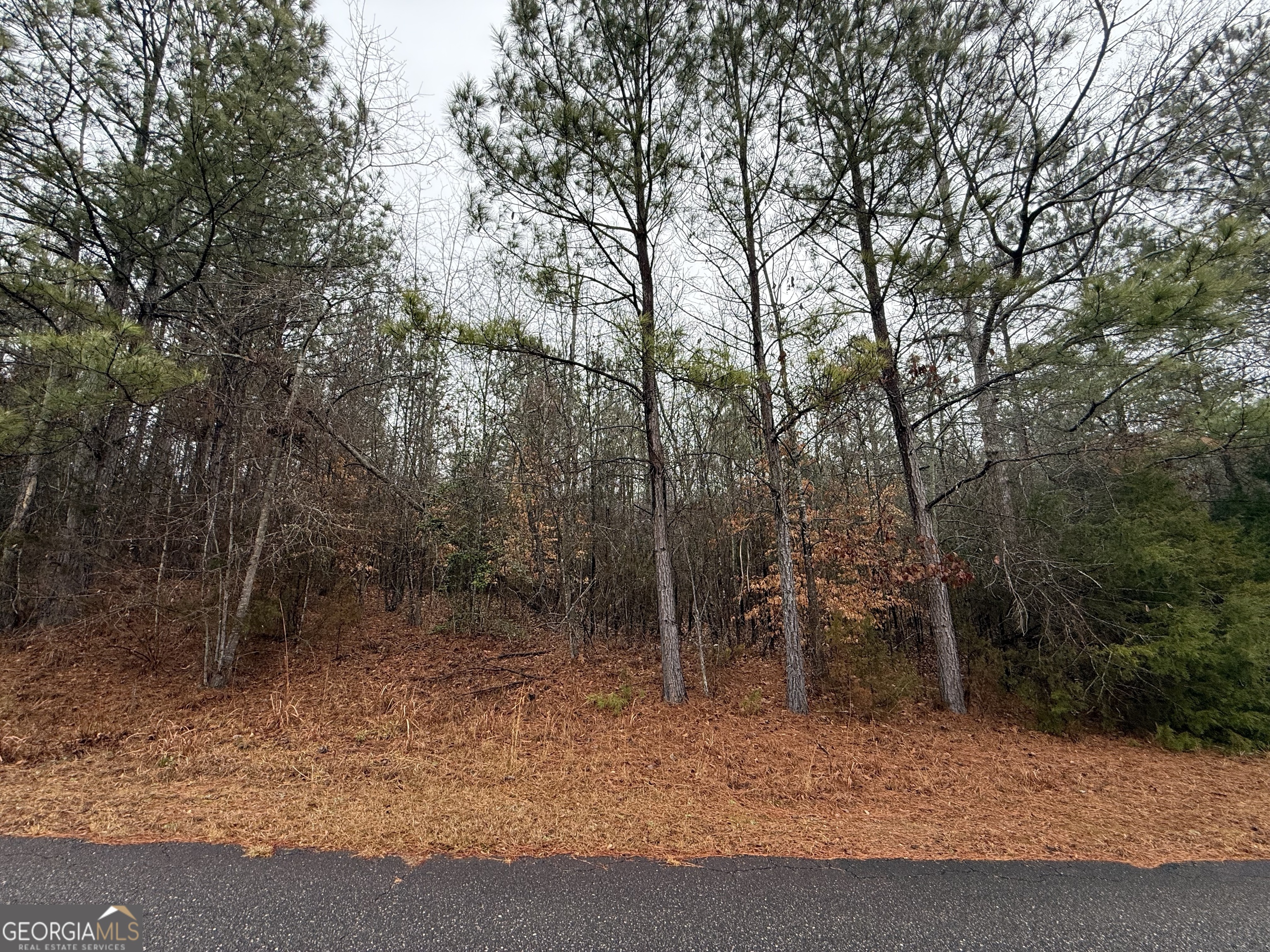 2592 Omaha DR - Photo 2