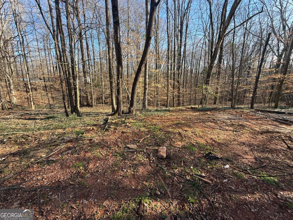 281 Woodland Hills DR