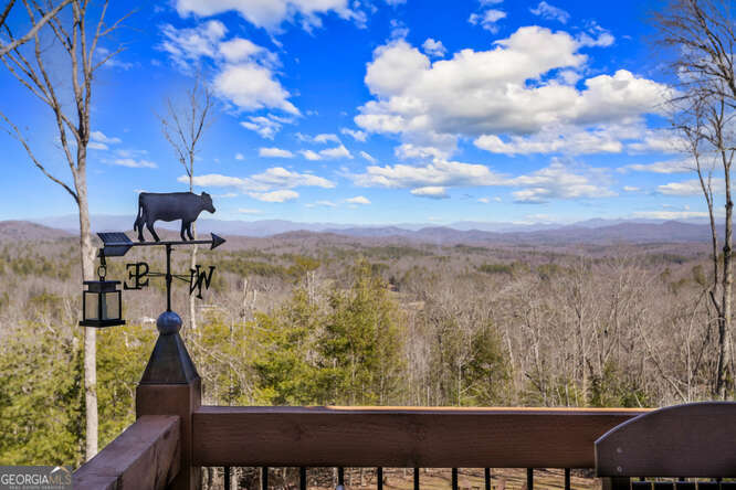 287 Scouts Overlook LN