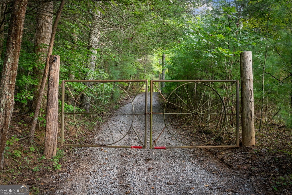 Photo of 361 Forest Service Road, Epworth, GA 30541 (MLS # 10850531)