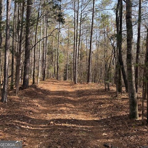 Photo of 198 Dennis Creek Road, Talbotton, GA 31827 (MLS # 10664439)