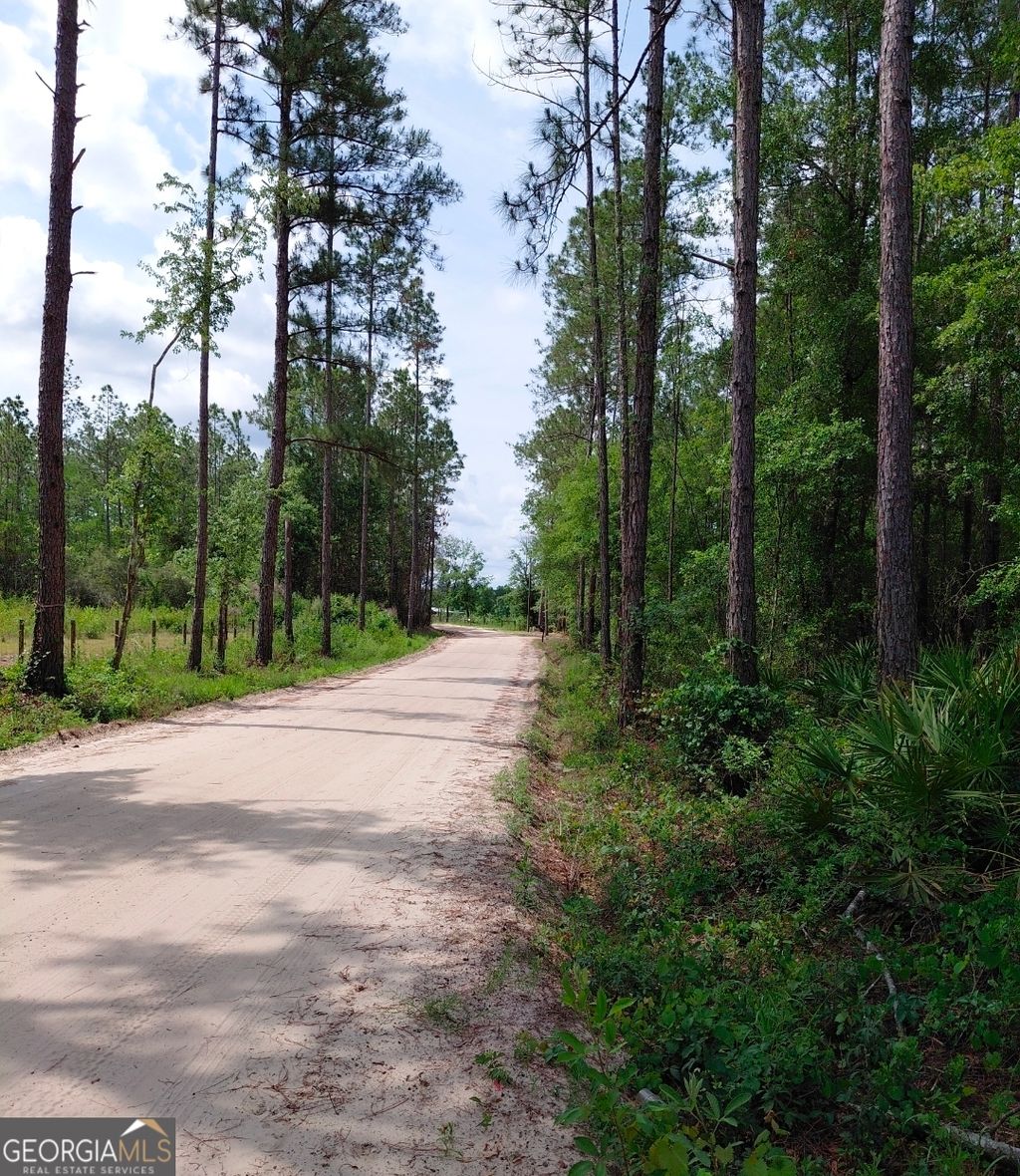 Photo of 339 Doc Rider Road, Folkston, GA 31537 (MLS # 10770200)