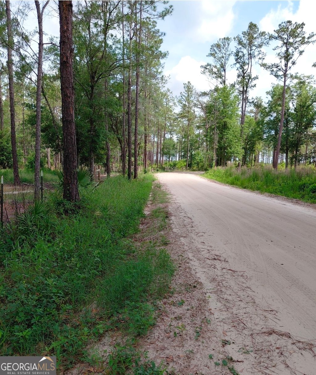 Photo of 339 Doc Rider Road, Folkston, GA 31537 (MLS # 10770200)