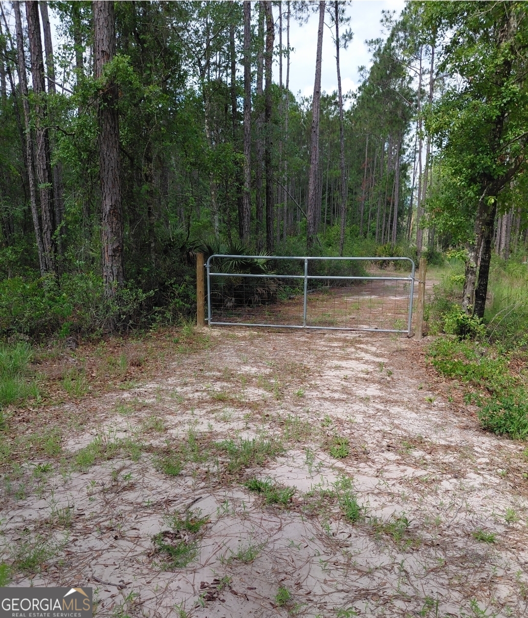 339 Doc Rider RD