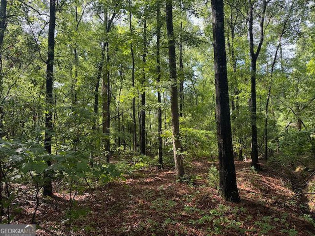 Photo of 8 Winchester Way, Sandersville, GA 31082 (MLS # 10754929)