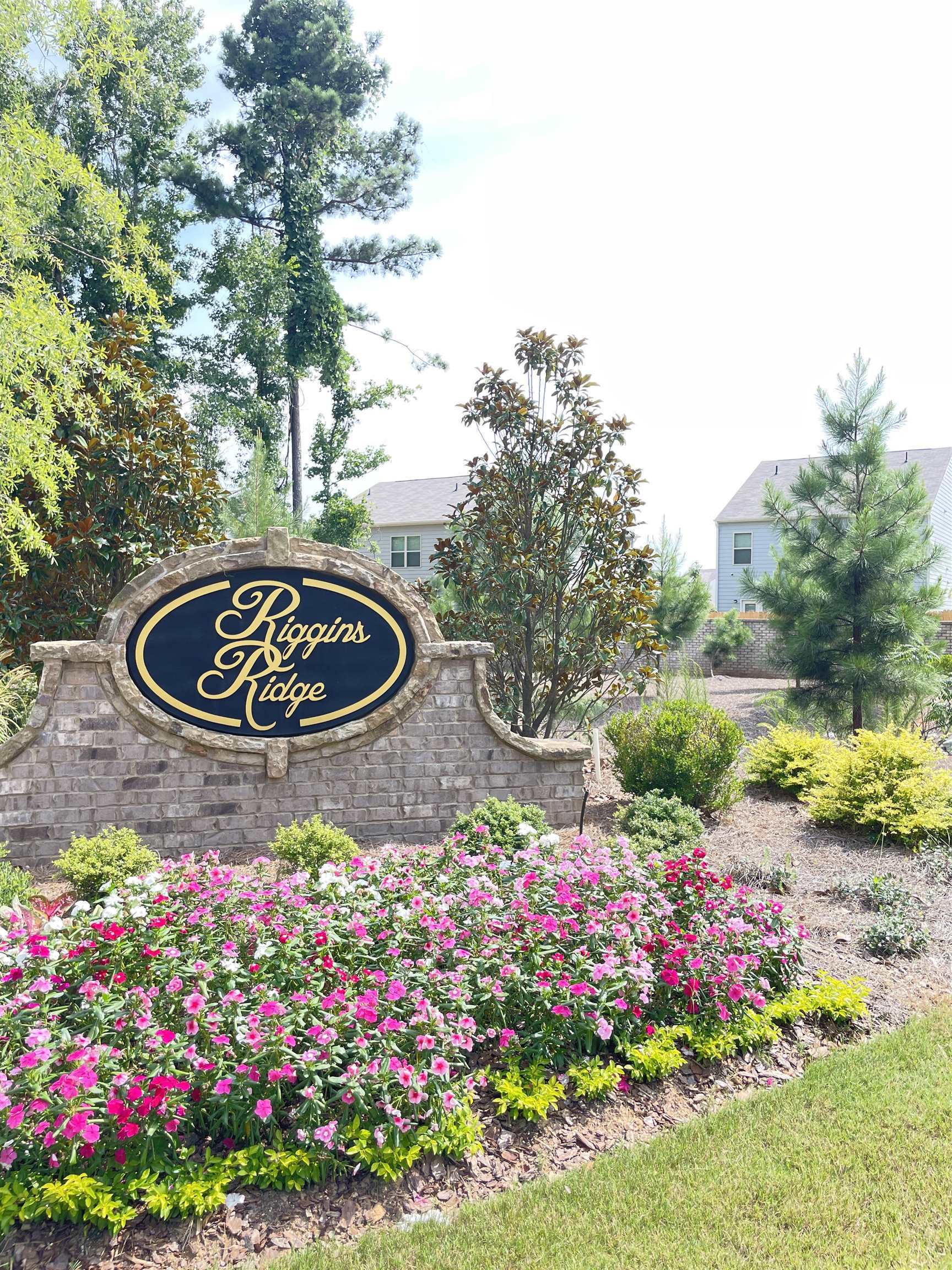 Riggins Ridge Subdivision - Residential