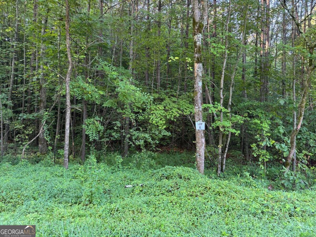 Come enjoy 2.54 acres of peaceful North Georgia countryside in Talking Rock! This tract (Lot E) features a mix of rolling and sloped terrain with natural hardwoods, offering a private and scenic setting for your future home. The property has been surveyed and a perc test is available, making it ready for construction. County water and high-speed internet are available at the road, giving you the convenience of modern utilities while enjoying quiet rural living. Located just minutes from Jasper and Highway 515, you'll have easy access to town, shopping, and schools while still enjoying the privacy of the mountains. Additional lots and a large barndominium are also available if you're looking for more land or a unique home option. With no HOA and minimal restrictions - the only stipulation is no mobile homes - this property offers rare flexibility.