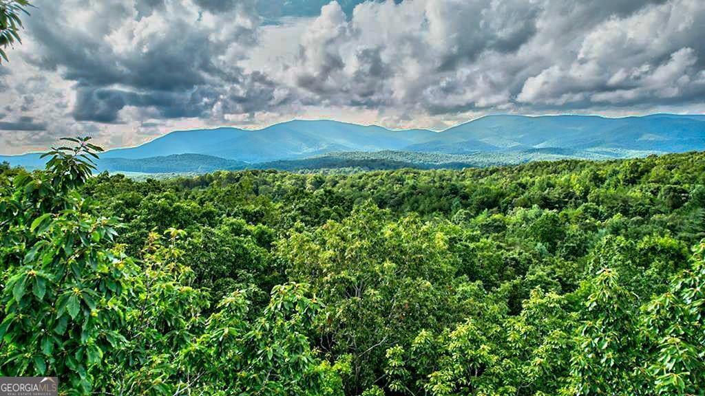 48.26 Acres of Unrestricted Land in Ellijay, GA - Your Canvas for Possibilities! Welcome to 48.26 acres of prime unrestricted land located at 315 Mt. McGruder Road, Ellijay, GA 30540. This exceptional property offers over 2,050 feet of road frontage, providing easy access and endless potential for your dream project. Zoned A1, this land is perfect for building a single home, multiple homes, or even combining farm life with residential living.With breathtaking mountain views and multiple building sites, this property is ready for you to create your vision, whether it's a secluded retreat, investment property, or a family compound. Enjoy the freedom of no HOA, covenants, or restrictions, giving you the flexibility to design as you please. Located just off mostly paved roads, this land sits on a private road with essential utilities nearby, including power, fiber-optic internet, and telephone. All that's needed is a well and septic to get started. The area offers fantastic amenities such as apple orchards, wineries, hiking trails, and waterfalls-perfect for year-round living, vacation homes, or an income-producing rental property.This is a rare opportunity to own a large tract of land in the scenic North Georgia mountains. Schedule your showing today and make your dreams a reality!