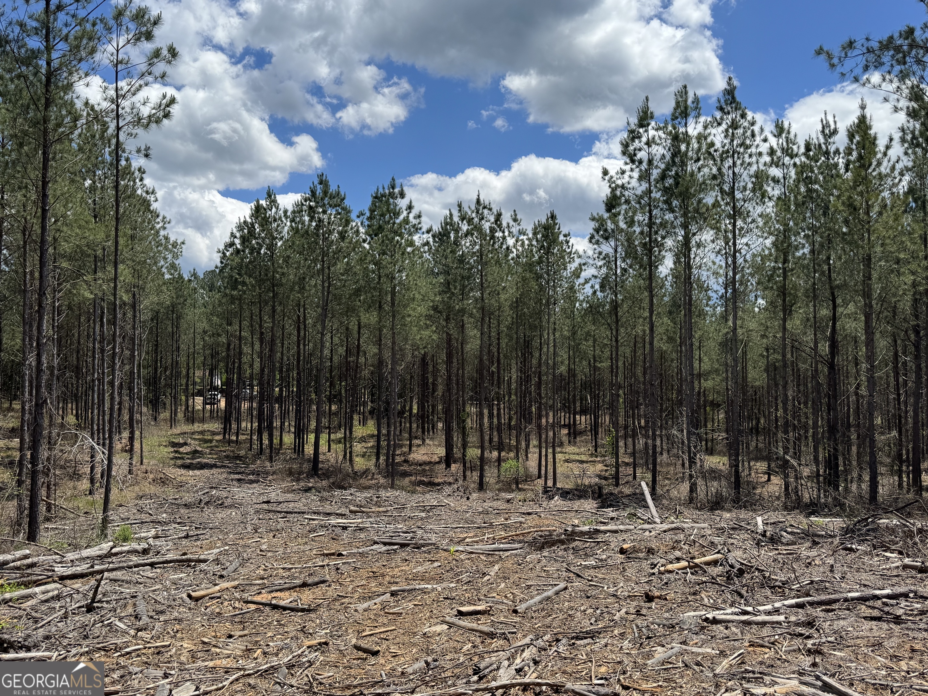 LOT 1 Lipham RD