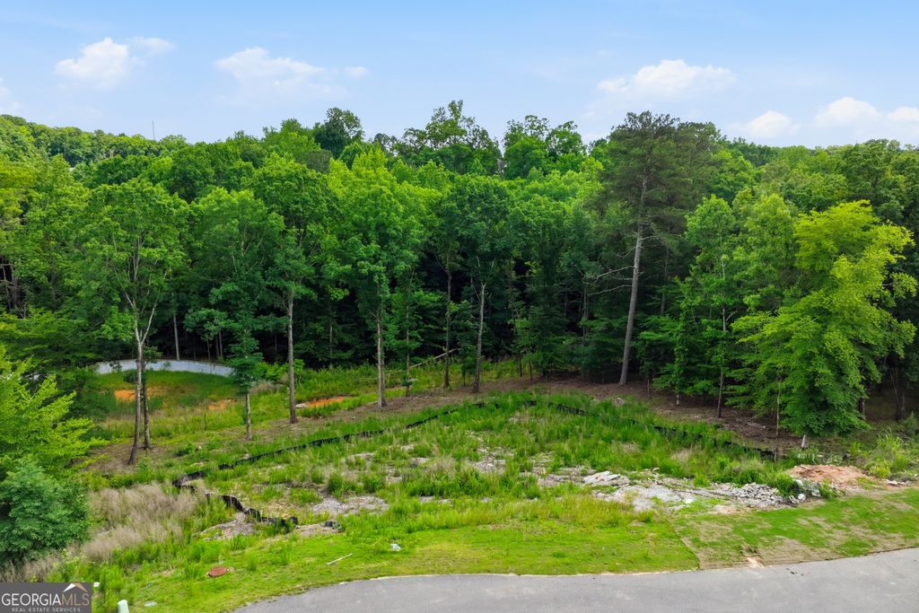 Photo of 3079 Turning Creek Trail, Dacula, GA 30019 (MLS # 10772640)