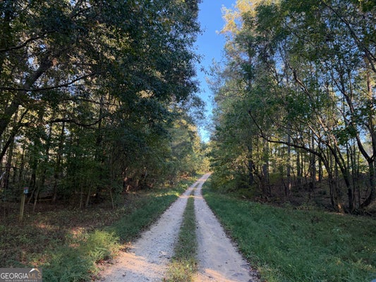 0 ADOLPHUS CALLAWAY ROAD, RAYLE, GA 30660 - Image 2dc3efd142dbba9ff8eaa1870b931b7e/2610598863