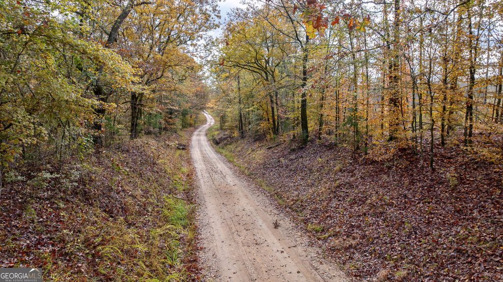 Photo of 0 New Hope Vesta Road, Carlton, GA 30627 (MLS # 10637165)