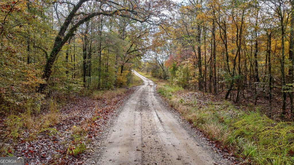 Photo of 0 New Hope Vesta Road, Carlton, GA 30627 (MLS # 10637165)