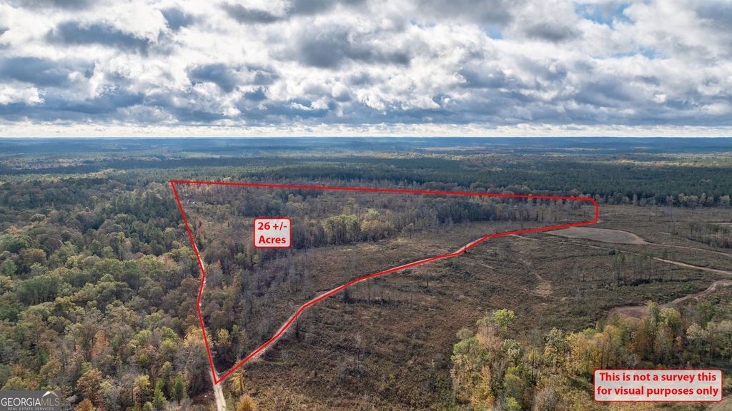 Photo of 0 New Hope Vesta Road, Carlton, GA 30627 (MLS # 10637165)