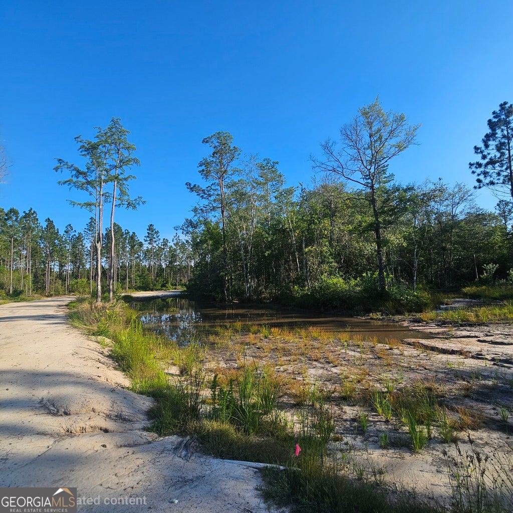 Photo of 0 Mill Branch Club Road Lot 1P, Pembroke, GA 31321 (MLS # 10848468)