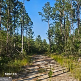 0 Mill Branch Club Road Lot 1P Pembroke GA 31321