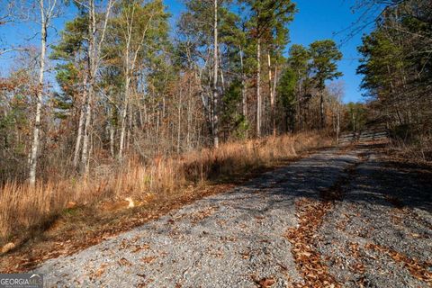 Unimproved Land in Kingston GA 0 Kingston Highway.jpg