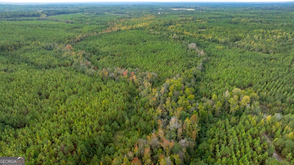 Photo of 0 Fortner Pond Road, Kite, GA 31049 (MLS # 10875615)