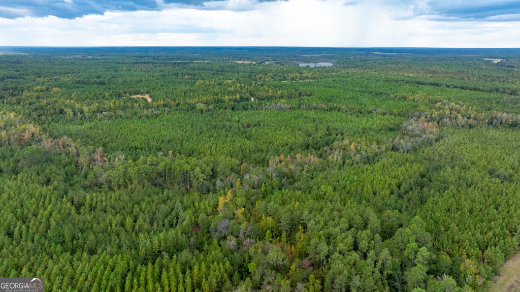 Photo of 0 Fortner Pond Road, Kite, GA 31049 (MLS # 10875615)