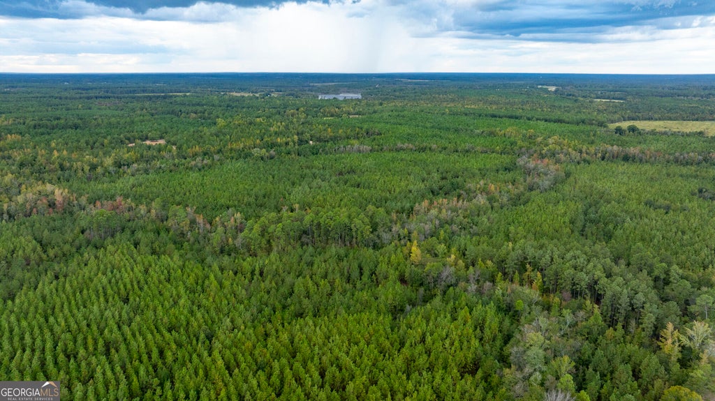 Photo of 0 Fortner Pond Road, Kite, GA 31049 (MLS # 10875615)