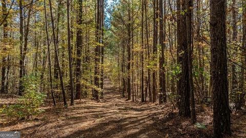 Photo of 0 Jones Ferry Road #1, Chattahoochee Hills, GA 30268 (MLS # 10649572)